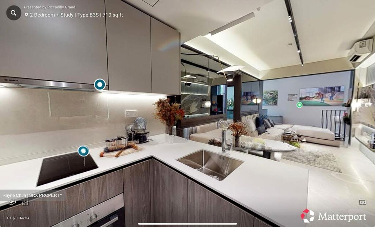 Piccadilly Grand (D8), Apartment #495703721